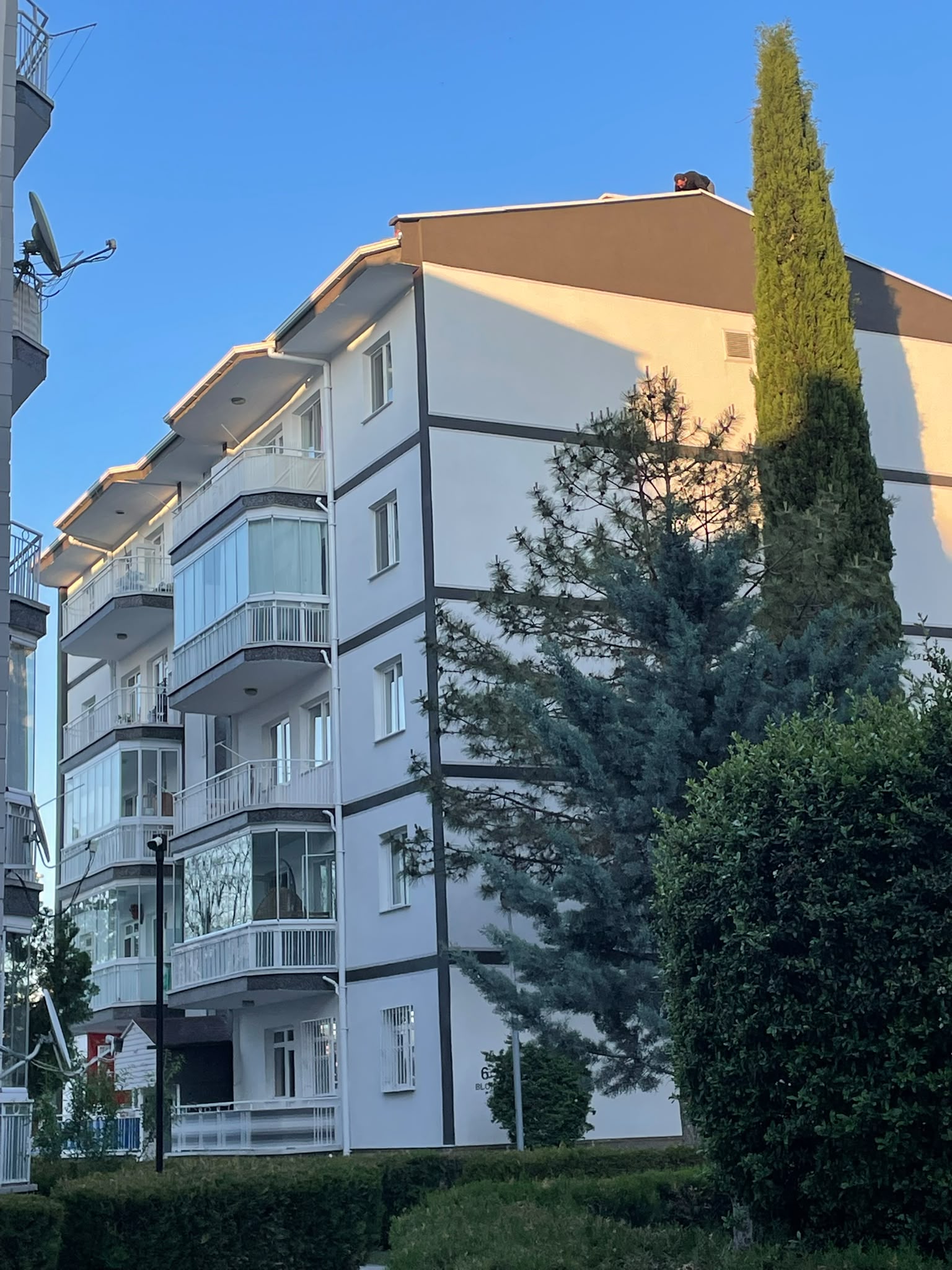 Mantolama, Çatı ve Yapı Tadilat